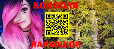 МДПВ Шелехов