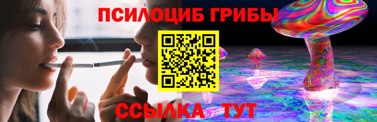 купить наркоту  Галлюциногенные грибы Cubensis  Вход с VPN  Борисоглебск 